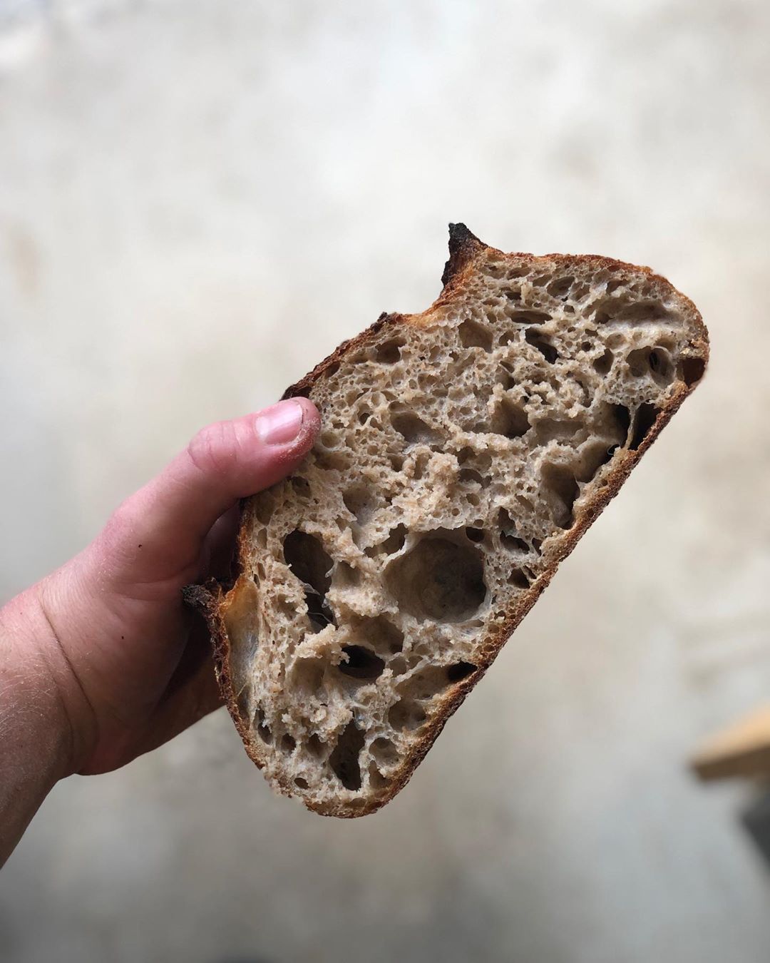 image of a bread slice