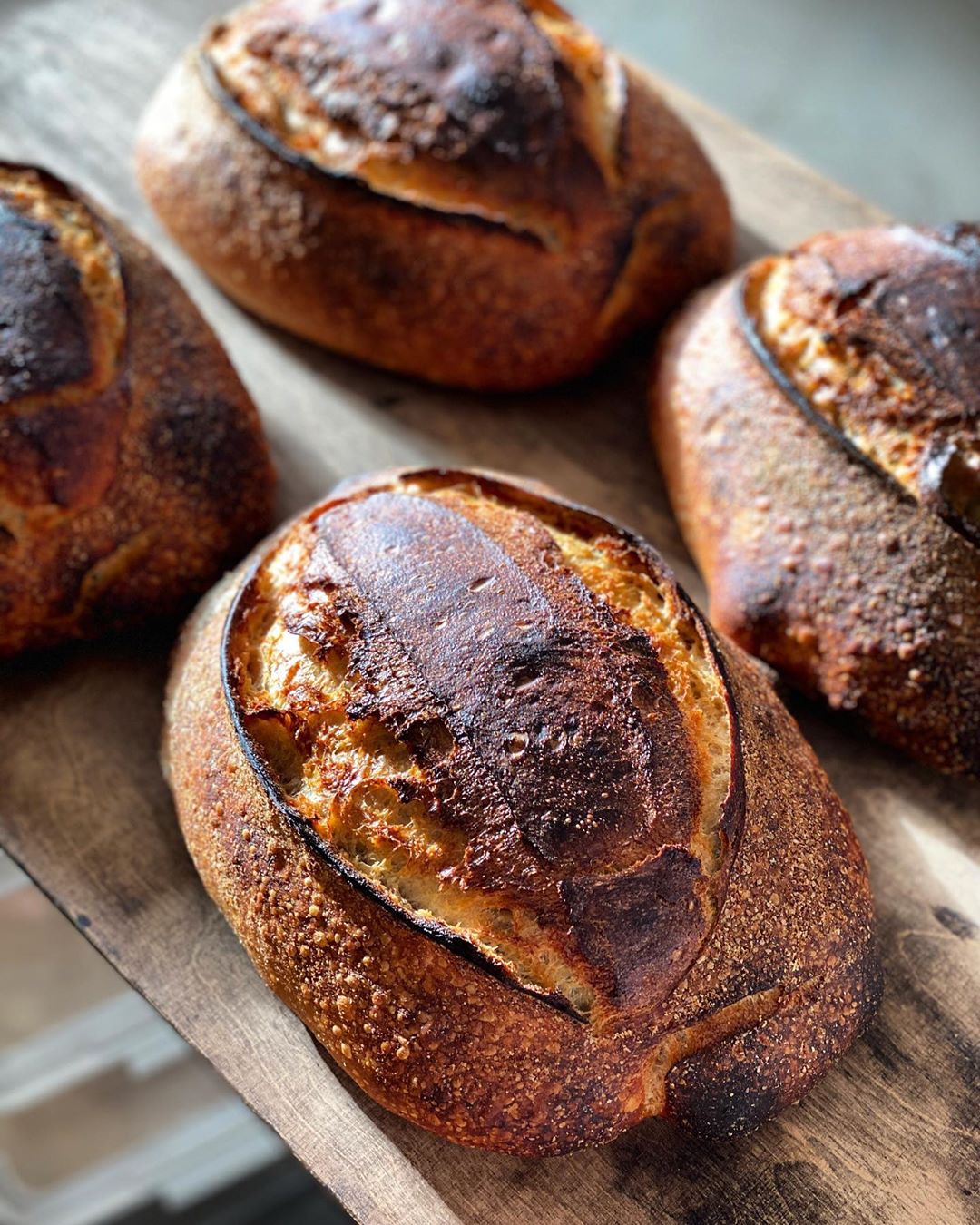 freshly made sourdough bread