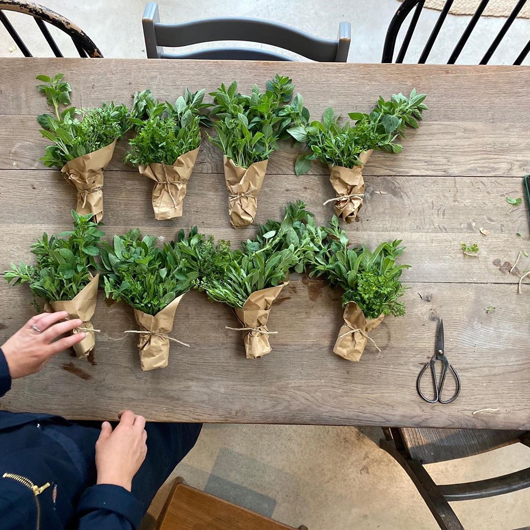 bunch of herbs